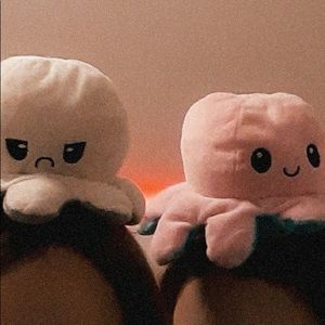 Meet your Posher, Evangeline